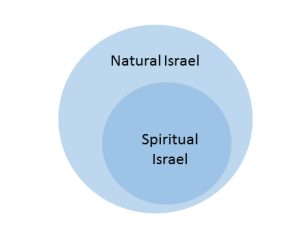 There is a true Israel within ethnic Israel.