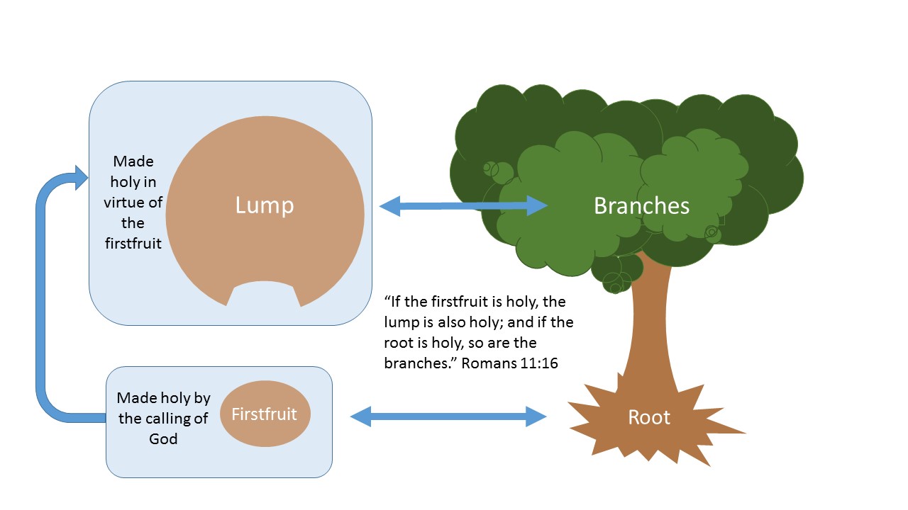 Romans 9, 10, and 11 – Part 5 | testing 5-2-1